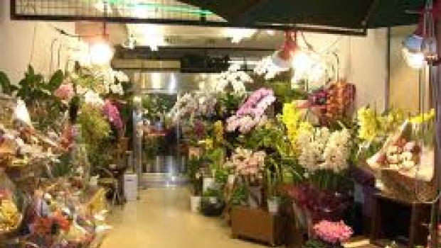 С чего начать цветочный бизнес: основа и тонкости
